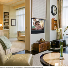 hidden televisions