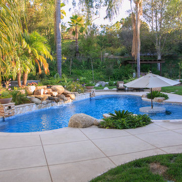 Tropical Oasis
