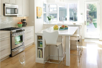 Kitchen - transitional kitchen idea in Other
