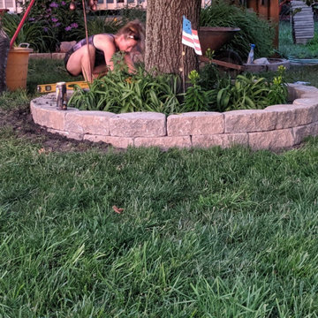 Tree Ring replacement, Edger replacement