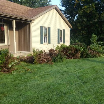 Landscape Bed Refurbishment