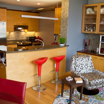 Downtown Madison, WI Condo
