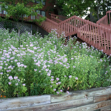 Shoreline Buffer & Slope Stabilization
