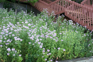 Photo of a landscaping in Other.