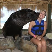 Brittany Leonberg's photo