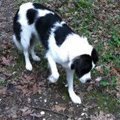 Joanna Miller's photo