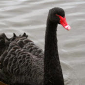 Gina Davis's photo
