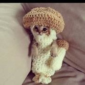 Amber Poole's photo