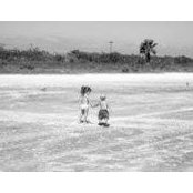Terri Wiedenfeld's photo