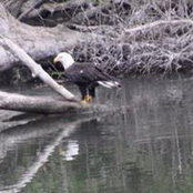 Connie Dalton's photo