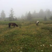 Foto von Mim Strote