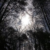 Robin Saunders's photo