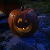 Foto von Melanie Strick
