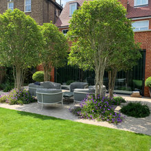 Patio Ideas