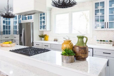 Kitchen - transitional kitchen idea in Boston