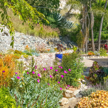 Mid Century Moder Home San Diego Xeriscape Landscape