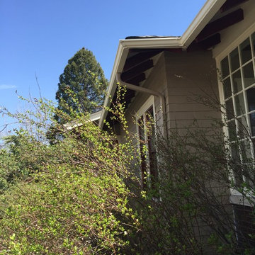 Victorian Exterior Paint - Colorado Springs, CO