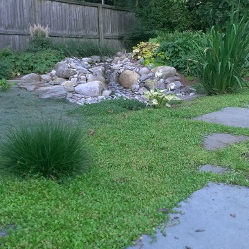 Rainwater Harvesting System & Planting