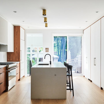 Rosedale Modern Whole Home Renovation