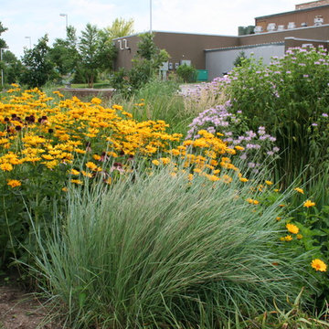 Fireworks Restaurant Rain Garden