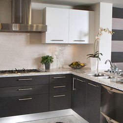 Modern Cabinetry - Kitchen Cabinetry