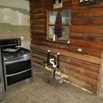 Log cabin kitchen pre-remodel