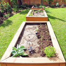 becky_edmondson's ideas