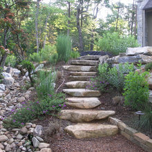 dry creekbed