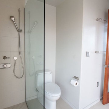 House Remodel - Waimea
