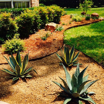 Xeriscape