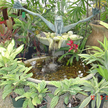 Biological Koi Ponds