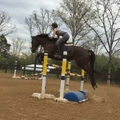 Macie Atwood's photo