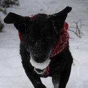 Todd Monge's photo