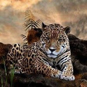 Photo de Larae Chohon