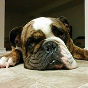 Dennis Pham's photo
