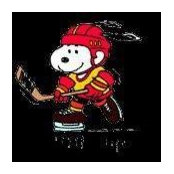 Patty Peterson Hoag's photo