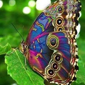 Marilyn Lasiter's photo