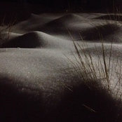 Greg Lane's photo
