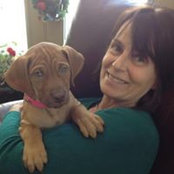 Sue Thomas's photo