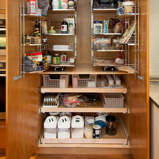 Mid-sized contemporary kitchen pantry pictures - Example of a mid-sized trendy medium tone wood floor kitchen pantry design in Boston with flat-panel cabinets and medium tone wood cabinets