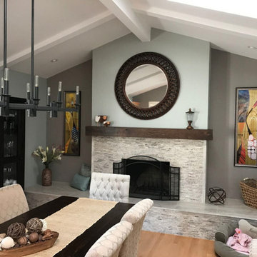 Contemporary Fireplace Upgrades