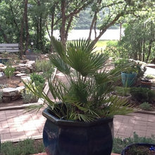 Turtle Lake garden
