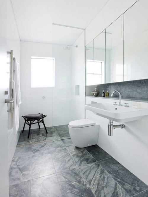 Toilet Niche Design Ideas & Remodel Pictures Houzz