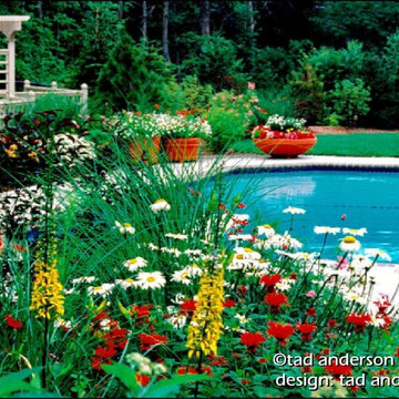 A Pool In The Garden.  Minnesota Swimming Pool Design.