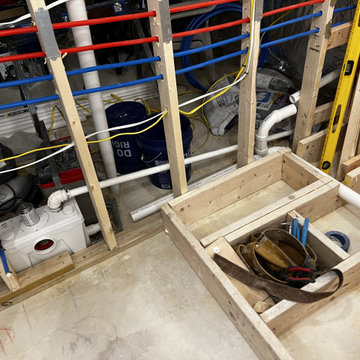 Basement Remodel