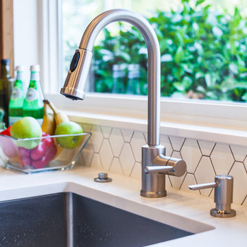 Mt. Tabor Remodel