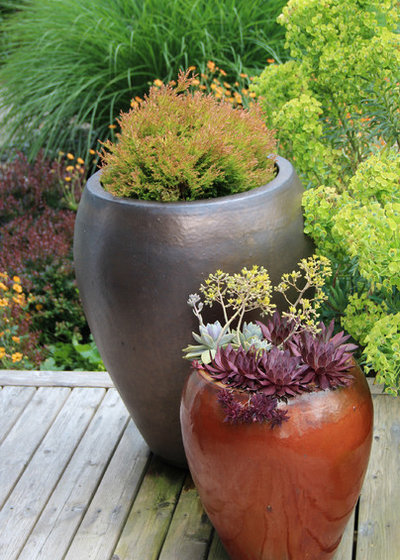 Contemporary Landscape by Bliss Garden Design