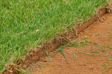 Sod Farming