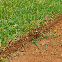 Central Sod Farms Inc Centreville Md Us Church Hill Md Sod Farming