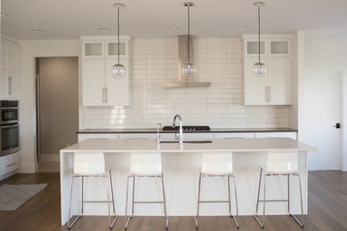Kitchen - large contemporary kitchen idea in Other with an undermount sink, flat-panel cabinets, white cabinets, white backsplash, stainless steel appliances and an island